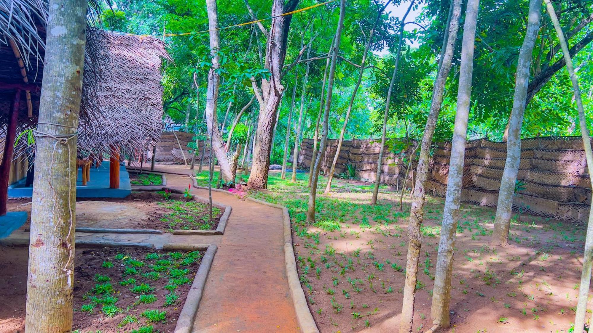 Jungle Host Hostel And Tree House Сигирия Екстериор снимка
