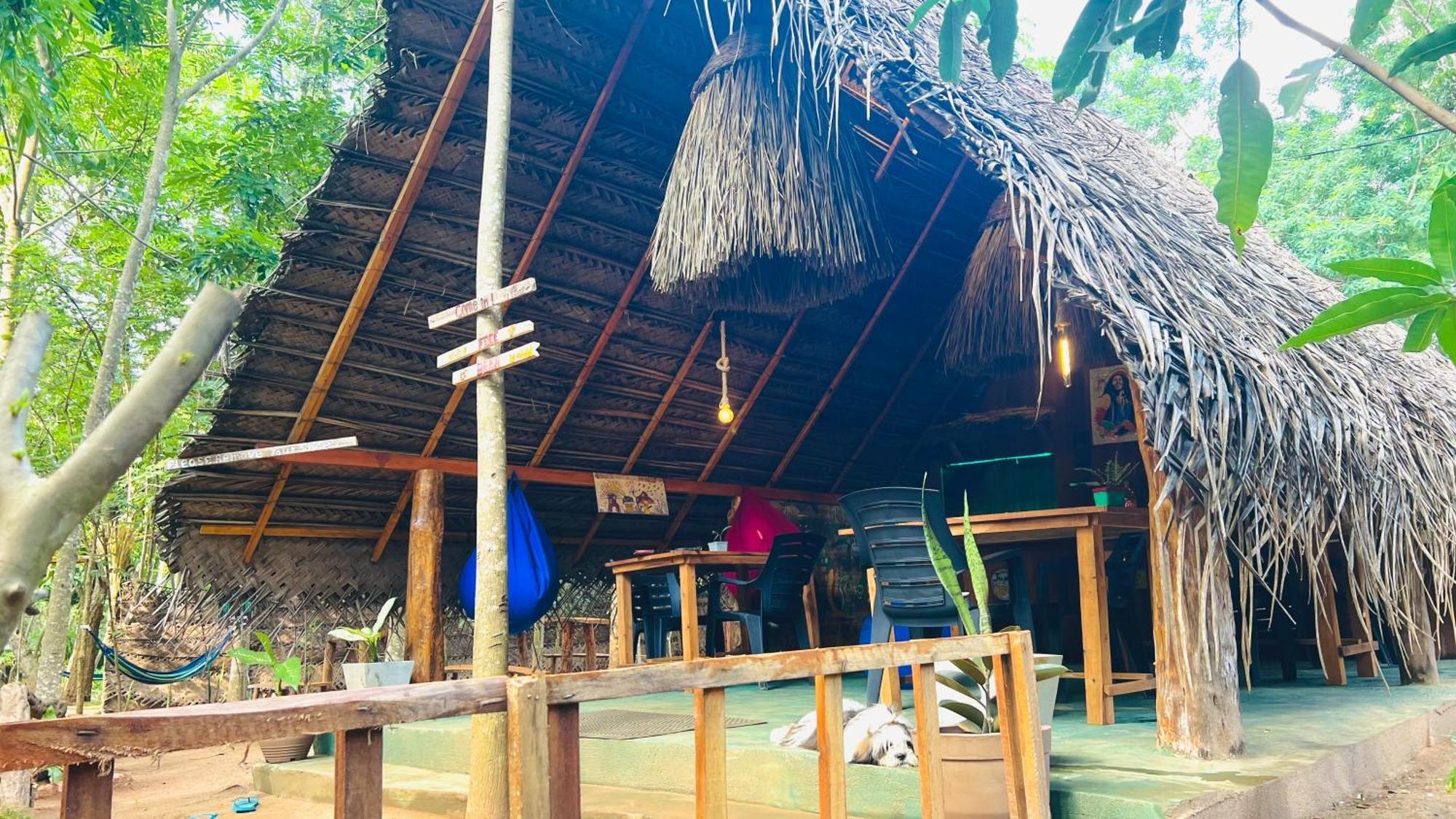 Jungle Host Hostel And Tree House Сигирия Екстериор снимка