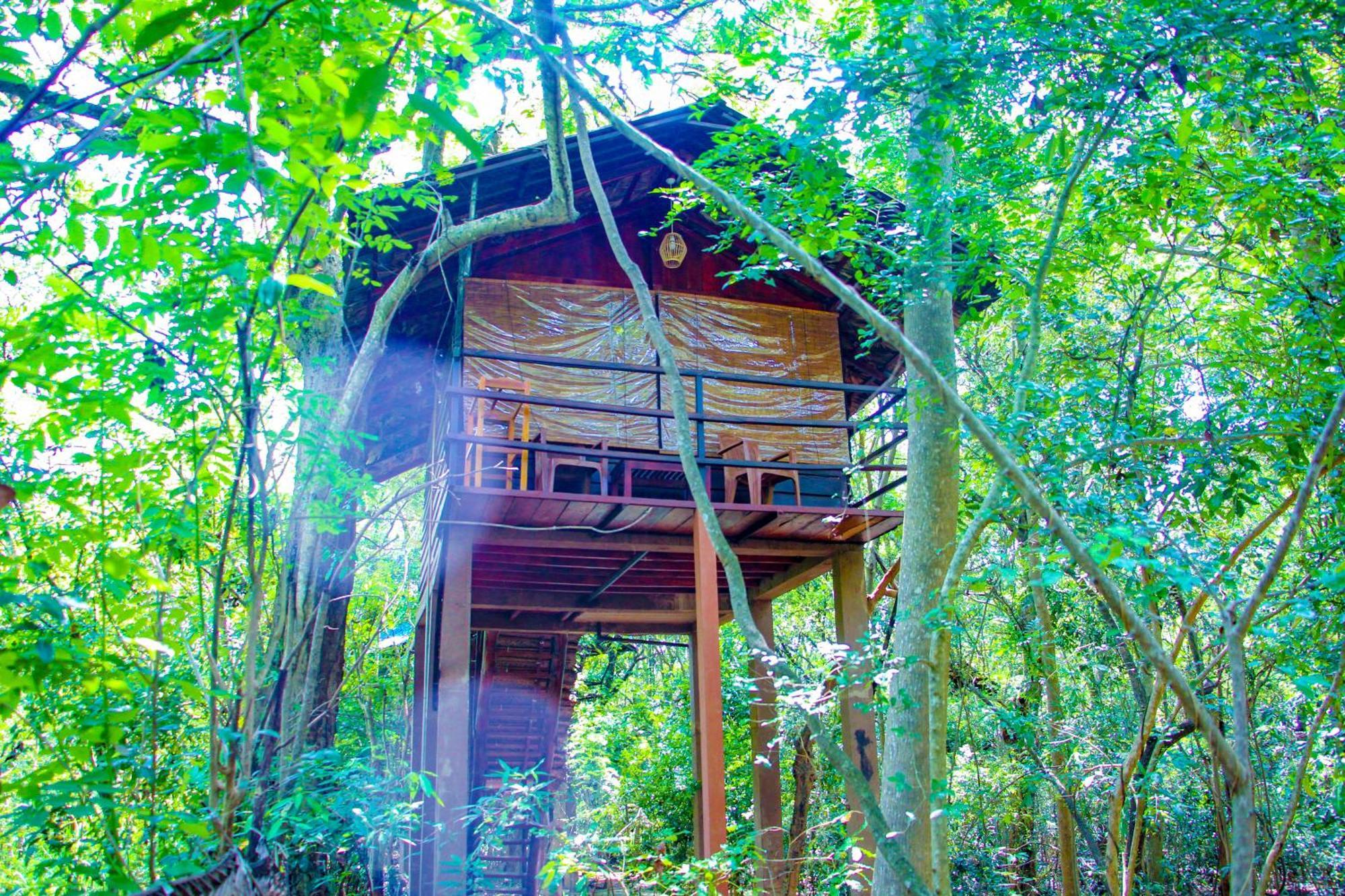 Jungle Host Hostel And Tree House Сигирия Екстериор снимка