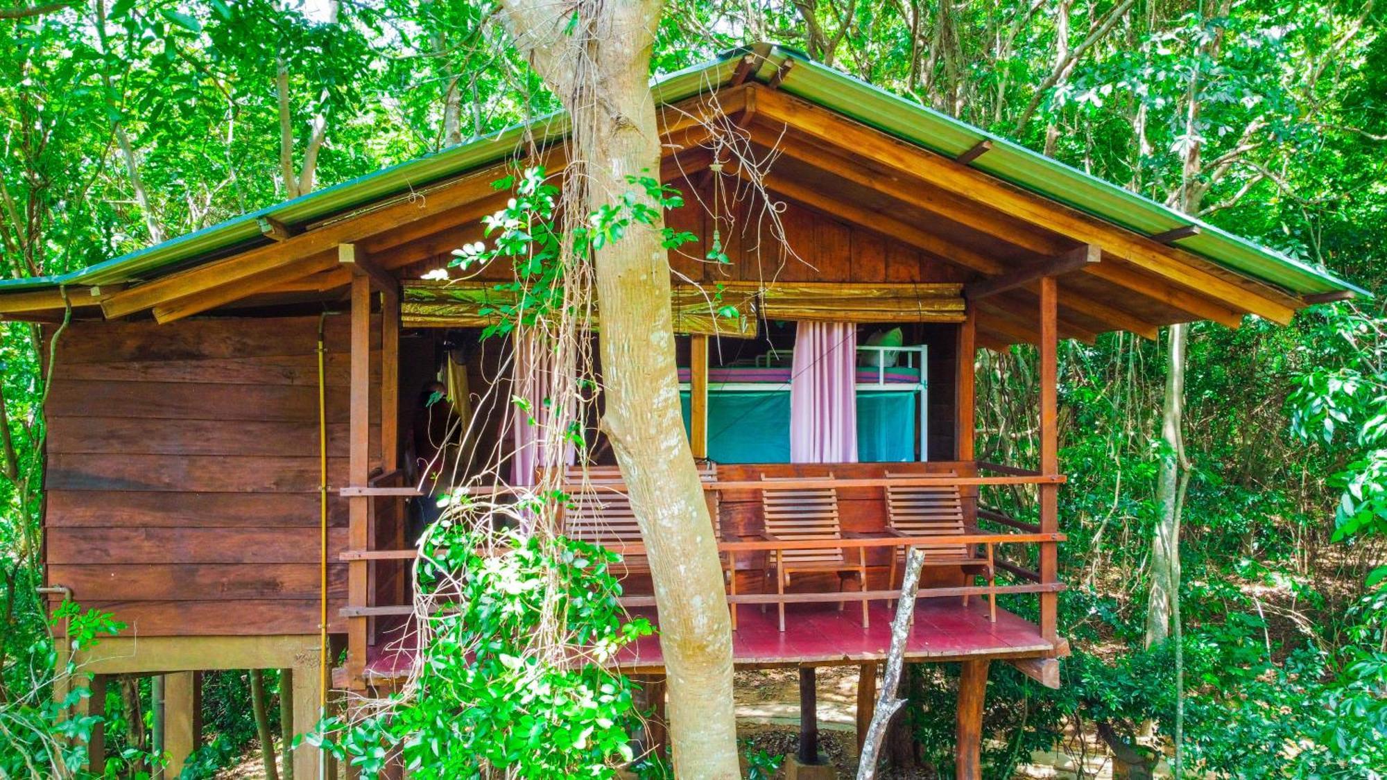 Jungle Host Hostel And Tree House Сигирия Екстериор снимка