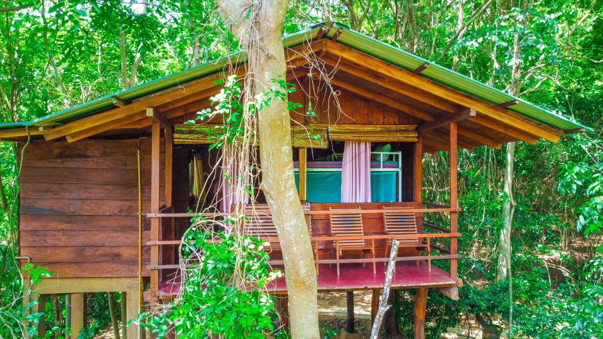 Jungle Host Hostel And Tree House Сигирия Екстериор снимка